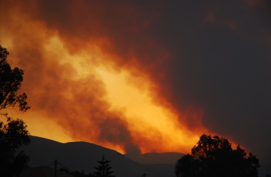 Athens sends assistance to fight fire on Greek island of Andros