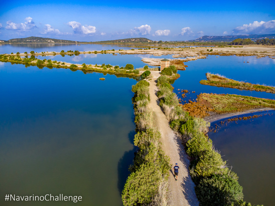 Significant Initiatives for Education, Road Safety, and Environmental Sustainability at Navarino Challenge 2024