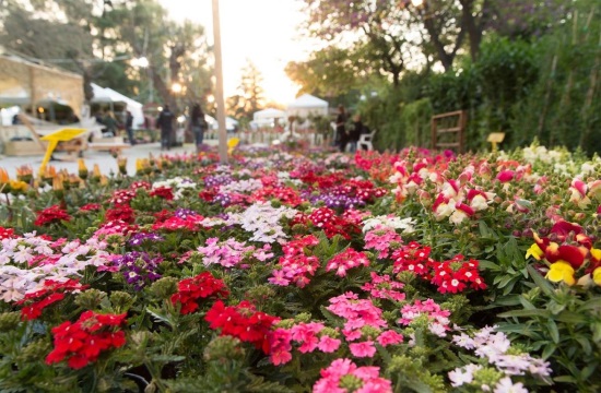 Last chance to visit 62nd Kifissia Flower Show in Athens this weekend