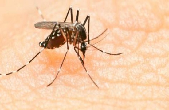 ΚΕΕΛΠΝΟ: Ταξιδιωτική οδηγία για τον ιό Zika