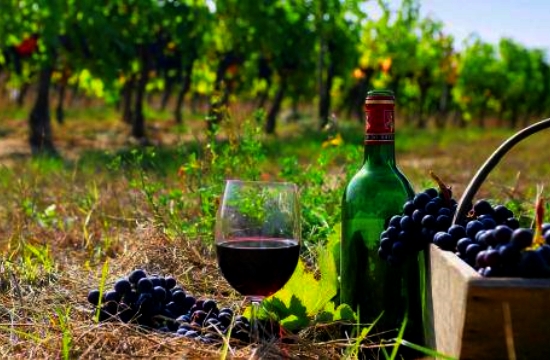 Προβολή του ελληνικού κρασιού στην Αυστραλία