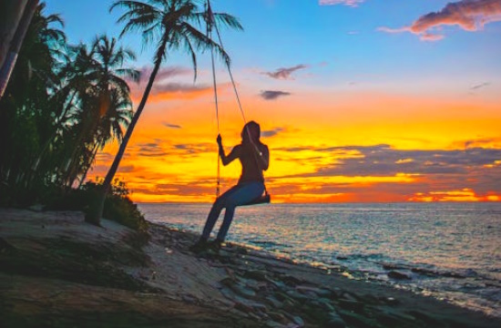 traveller_tourists_pexels654738291